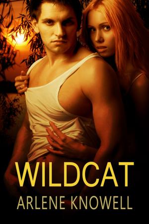 Book cover of Wildcat