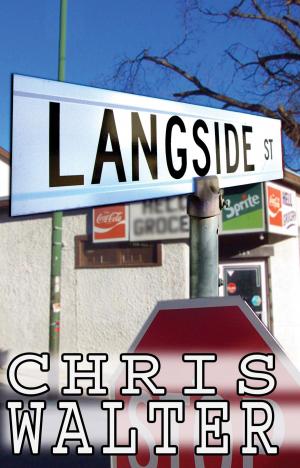 bigCover of the book Langside by 