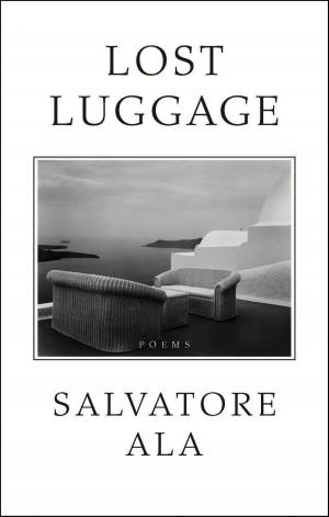 Cover of the book Lost Luggage by Walter De La Mare