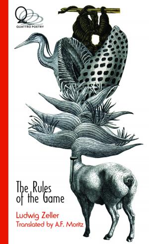 bigCover of the book The Rules of the Game by 