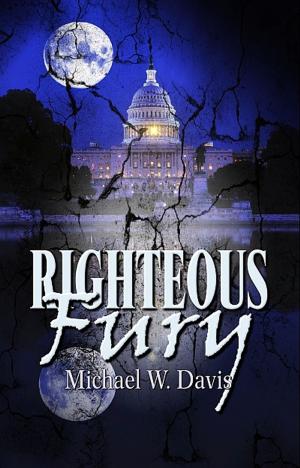 Cover of the book Righteous Fury by J. A. Garland