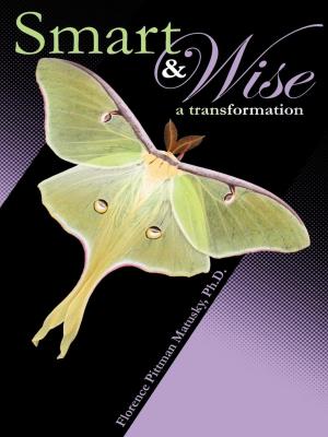 Cover of the book Smart & Wise by Joep Dohmen