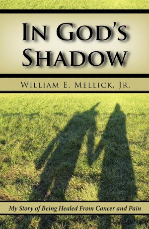 Cover of the book In God's Shadow by Daphne Tarango