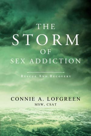 Cover of The Storm of Sex Addiction