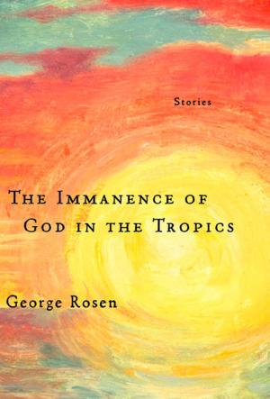 bigCover of the book The Immanence of God in the Tropics by 