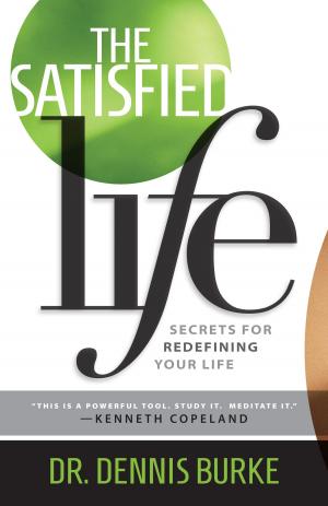 Cover of the book The Satisfied Life by Megan Provance
