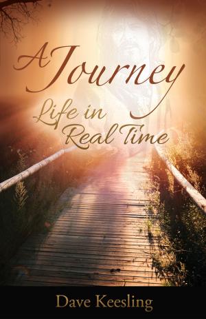 Cover of the book A Journey by Sandy Moriarty