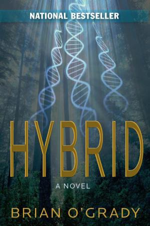 Cover of the book Hybrid by David Marlett