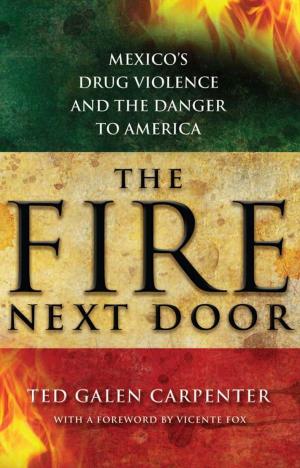 Book cover of The Fire Next Door