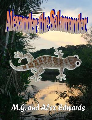 Cover of the book Alexander the Salamander by Brooke Broadbent