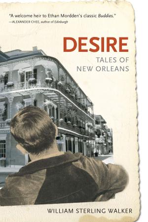 Cover of the book Desire: Tales of New Orleans by Felice Picano
