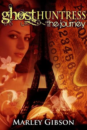 bigCover of the book Ghost Huntress Book 6: The Journey by 