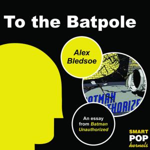 Cover of the book To the Batpole by Debbie Matenopoulos