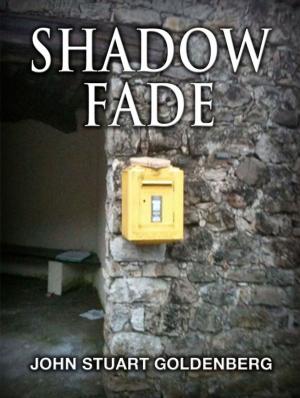 bigCover of the book Shadow Fade by 