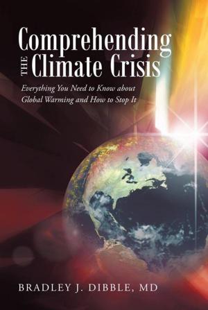 Cover of the book Comprehending the Climate Crisis by Carolin J.V. Milner