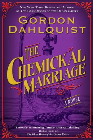 Cover of the book The Chemickal Marriage by Jessica Schaub