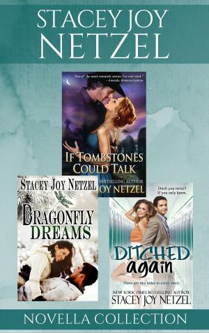 bigCover of the book Stacey Joy Netzel Boxed Set by 