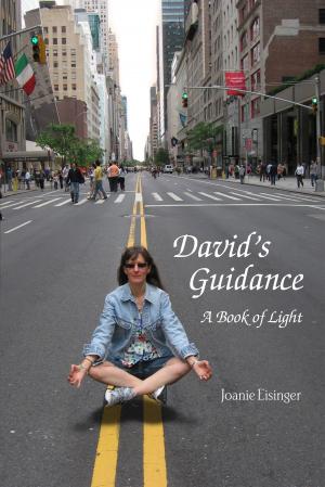 bigCover of the book David’s Guidance: A Book of Light by 