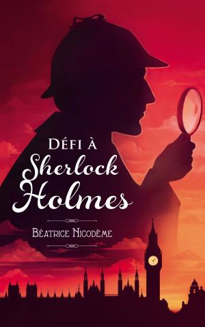 Cover of the book Défi à Sherlock Holmes by Madeleine Féret-Fleury, Marushka Hullot-Guiot