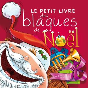 Cover of the book Le petit livre des blagues de Noël by Martina Krčmár