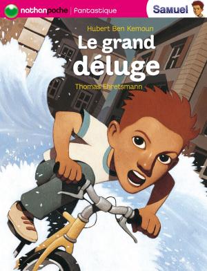 Cover of the book Le grand déluge by Sylvie Baussier