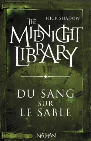 Cover of the book Du sang sur le sable by Matt7ieu Radenac