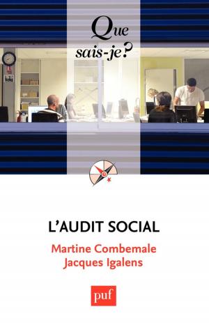 Cover of the book L'audit social by Thierry Ménissier, Yves Charles Zarka