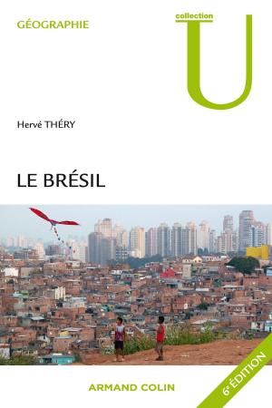 Cover of the book Le Brésil by Yannick Clavé
