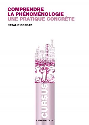 Cover of the book Comprendre la phénoménologie by Olivier Bobineau, Pierre N'Gahane