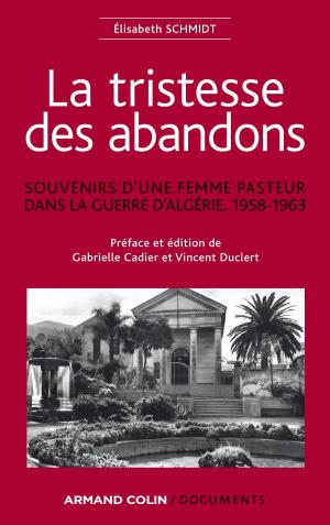 Book cover of La tristesse des abandons - Élisabeth Schmidt