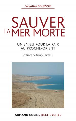Cover of the book Sauver la mer Morte by Jean-Louis Pedinielli, Guy Gimenez