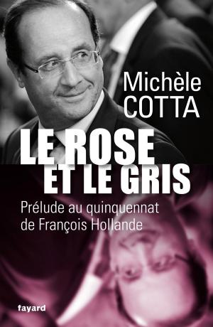 Cover of the book Le Rose et le Gris by François de Closets