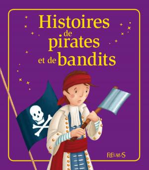Cover of the book Histoires de pirates et de bandits by Calie Roussel, Fabrice Besse