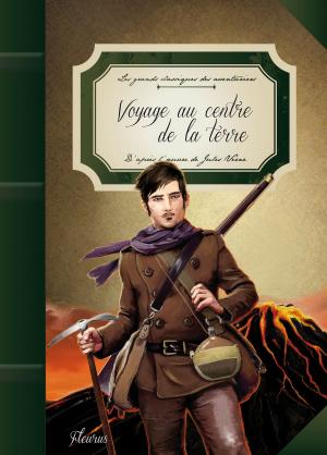 Cover of the book Voyage au centre de la terre by Mélusine Allirol