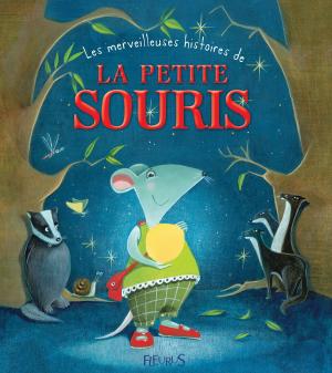 Cover of the book Les merveilleuses histoires de la petite souris by Robert Louis Stevenson, Charlotte Grossetête