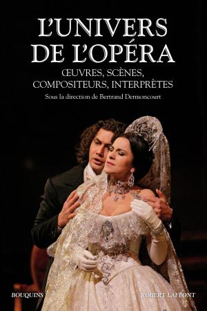 Cover of the book L'univers de l'opéra by Benjamin BRILLAUD