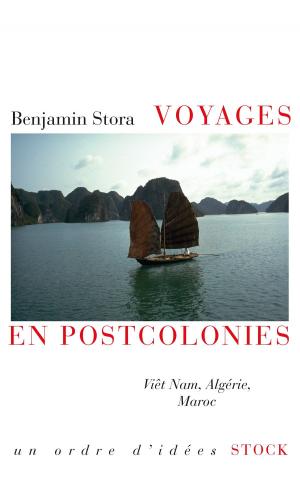 Book cover of Voyages en postcolonies