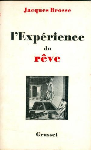 Cover of the book L'expérience du rêve by Jean-Marie Rouart