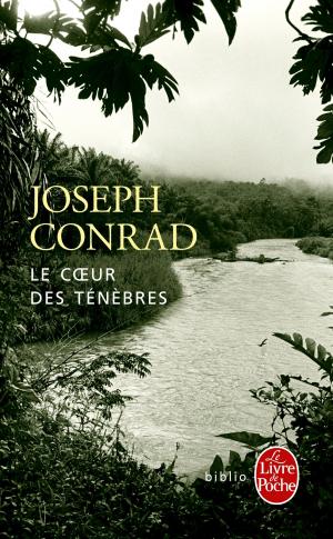 Cover of the book Le coeur des ténèbres by Victor Hugo