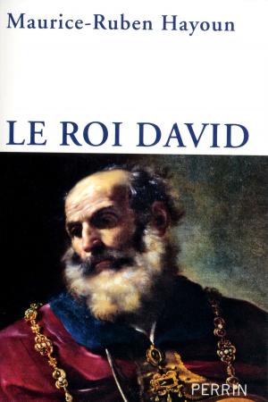 Cover of the book Le Roi David by Yves JACOB