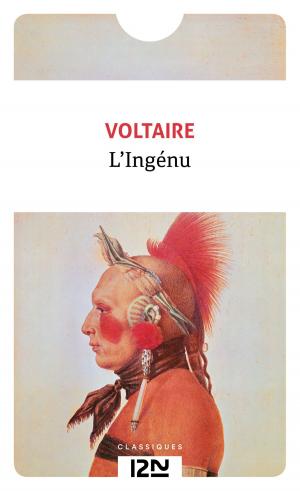 Cover of the book L'Ingénu by S.J. PARRIS