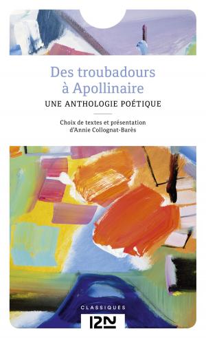 Book cover of Des troubadours à Apollinaire