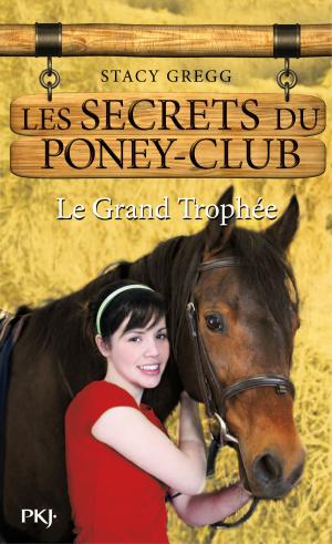 Book cover of Les secrets du Poney Club tome 8