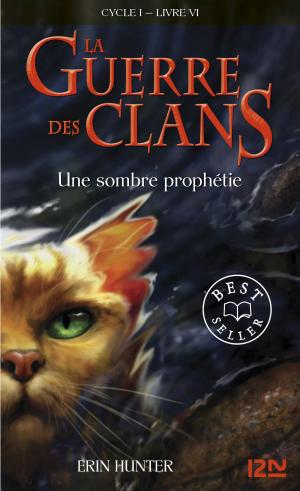 Cover of the book La guerre des clans tome 6 by Lauren BROOKE