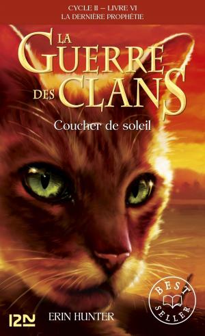 Cover of the book La guerre des clans II - La dernière prophétie tome 6 by Elisabeth BRAMI, Christophe BESSE