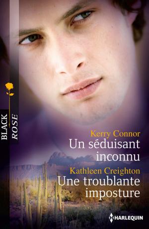 Cover of the book Un séduisant inconnu - Une troublante imposture by Natalie Anderson