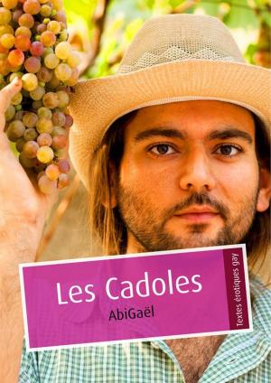Cover of the book Les Cadoles (pulp gay) by Vincent Koch