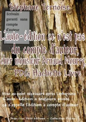 Cover of L'auto-édition ce n'est pas du compte d'auteur, cher monsieur Arnaud Nourry, PDG Hachette Livre
