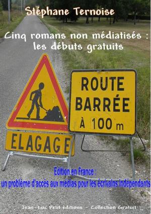 Cover of the book Cinq romans non médiatisés : les débuts gratuits by Fanny Werte