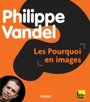 Cover of the book Les pourquoi en images by Camille Anseaume